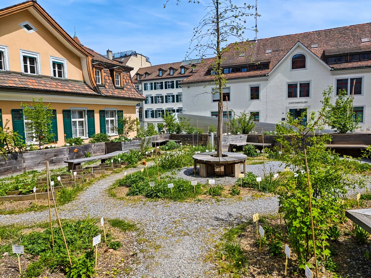 The herb garden inside the abbey precinct