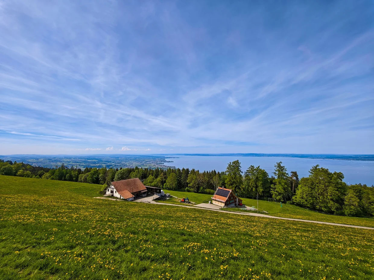 Meadow and Appenzeller chalets at Fünfländerblick above Lake Constance