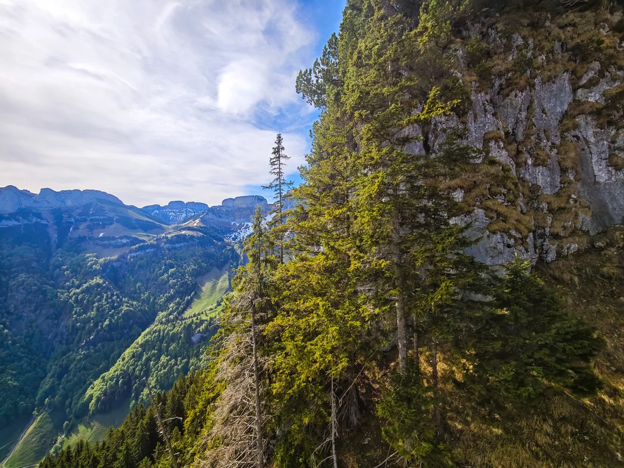 The cliff path with Aescher just out of frame, valley dropping away on the left