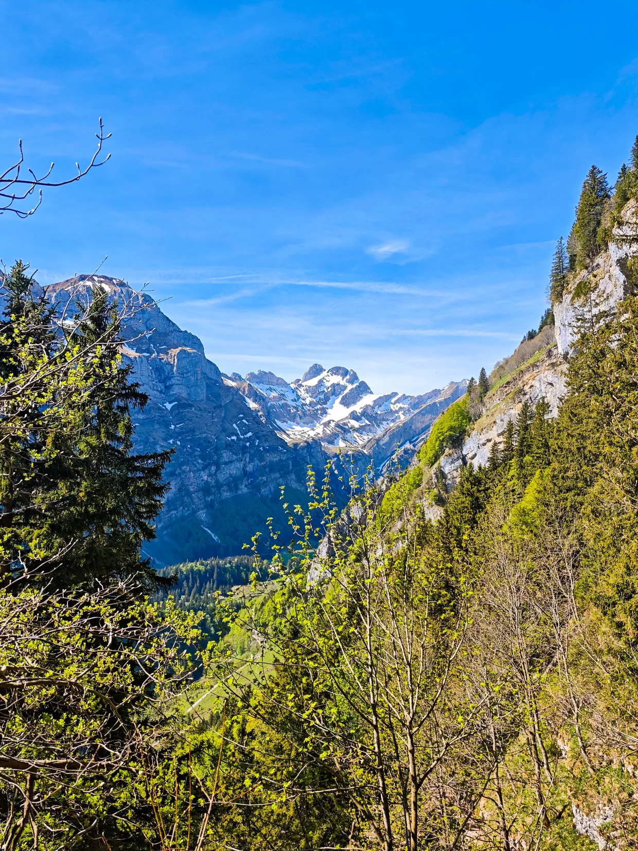 The valley dropping away below the Aescher, snow still streaking the far peaks