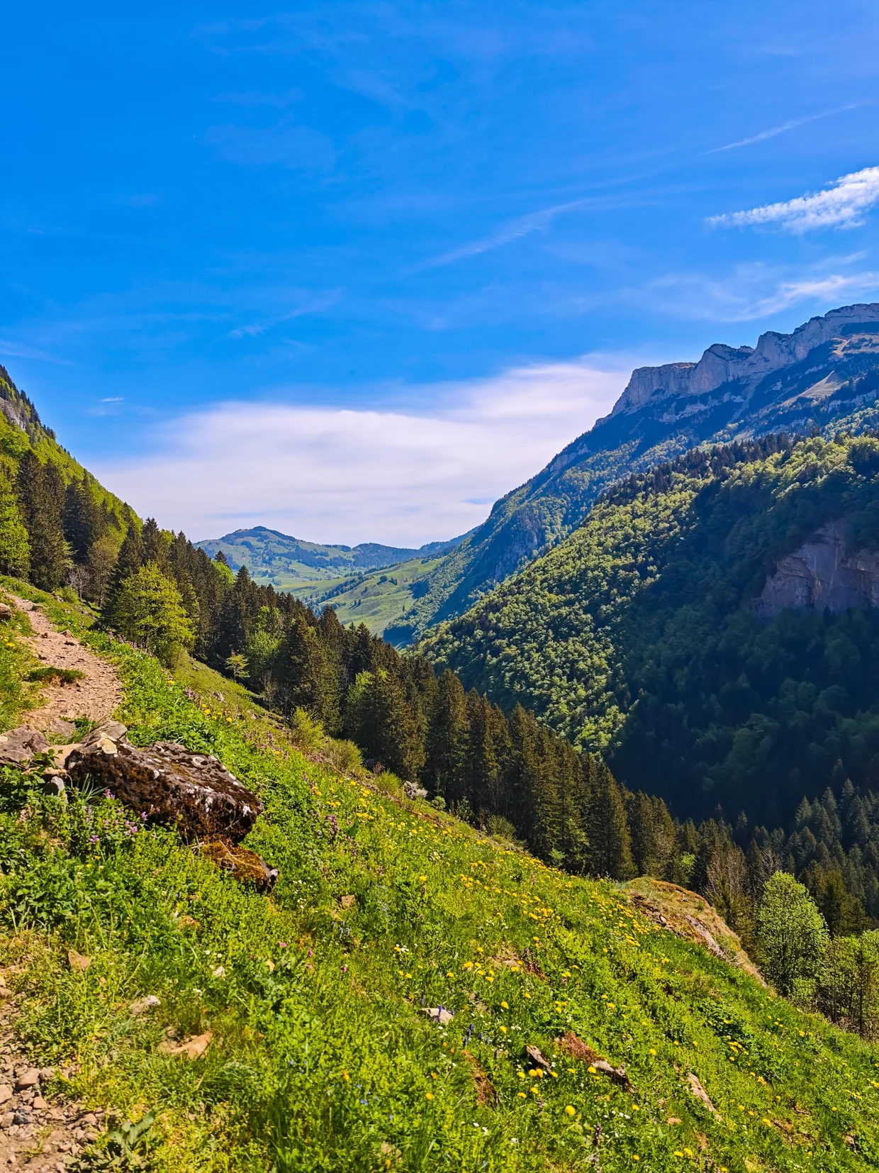 Meadow path opening out with peaks in the background
