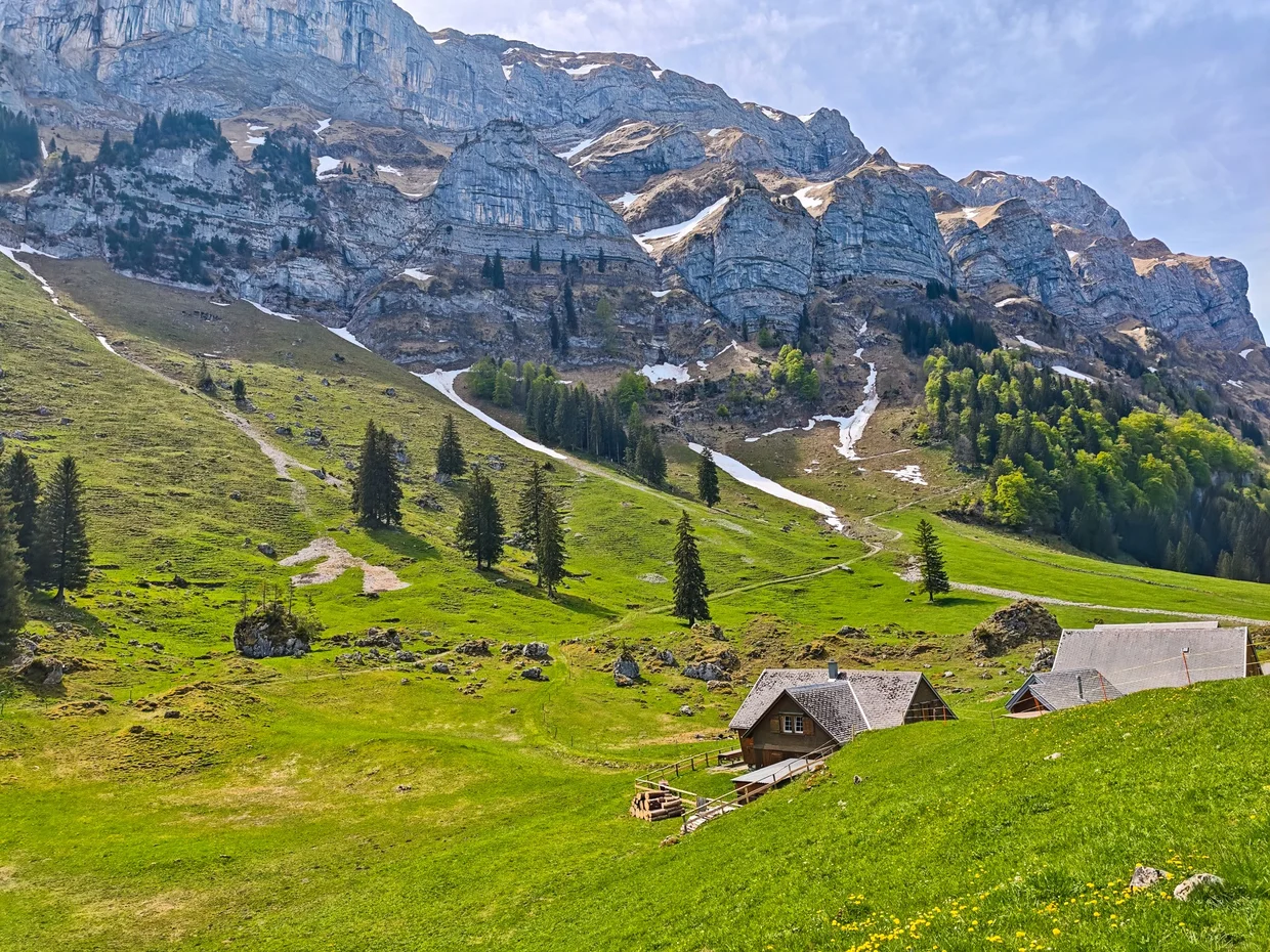 Alpine meadow and scattered chalets under the Alpstein walls on the descent