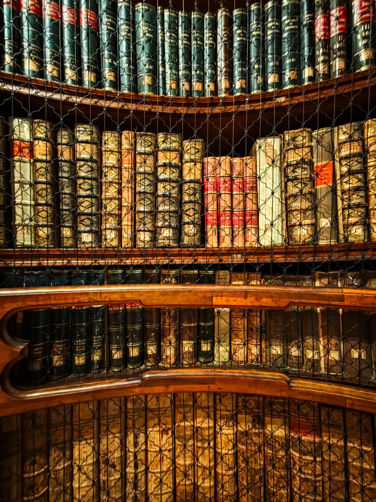 Wire-grilled bookcases protecting old leather-bound volumes