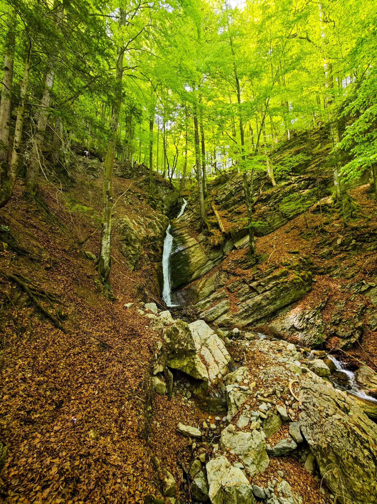 Small waterfall hidden in the forest on the descent back to Wasserauen