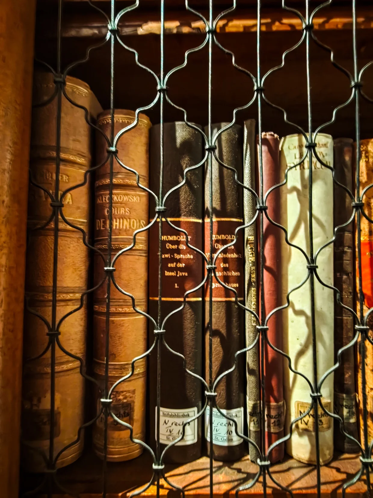 Close-up of leather book spines including a Humboldt volume