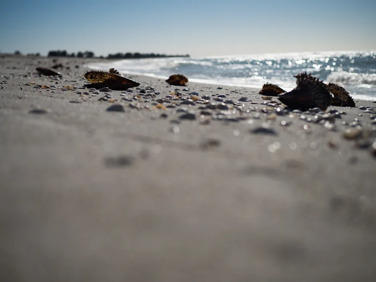 Florida coastline under blue sky