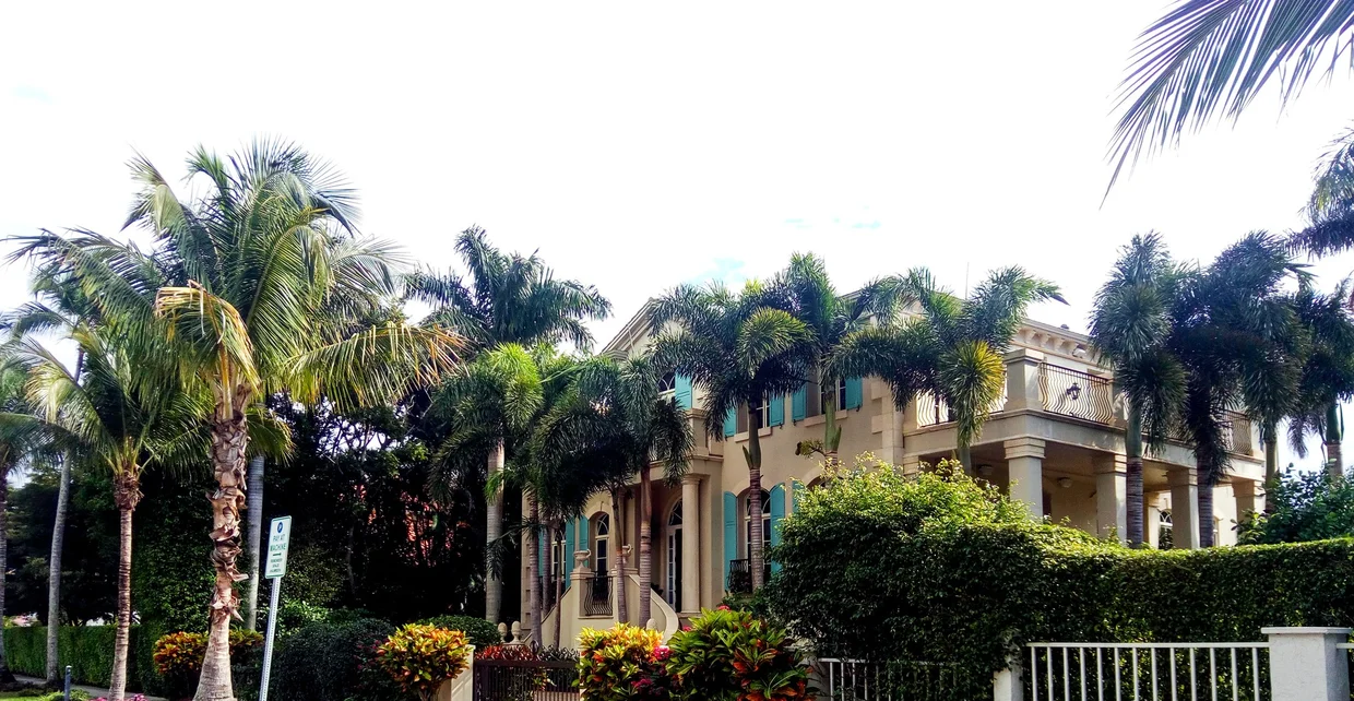 Palm-lined mansion