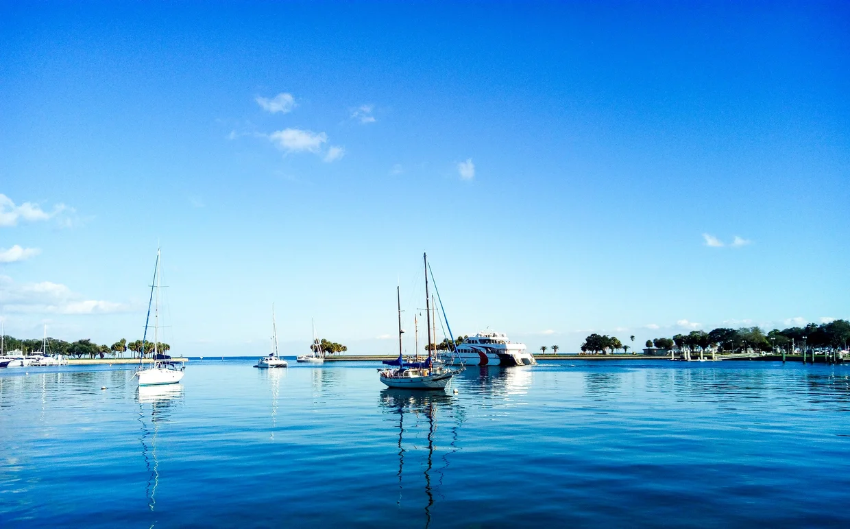 Sailboats in the bay
